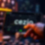 Visual representation of the Cexio Wallet interface