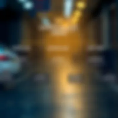 Crypto Wallet Download Process Flowchart outlining the download process for crypto wallets