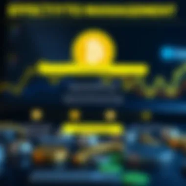 Effective Crypto Management Infographic explaining cryptocurrency management strategies