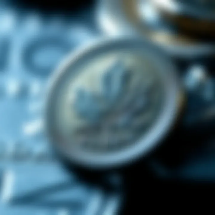 A close-up of a Canadian coin highlighting its intricate designs and craftsmanship