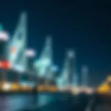 Shiba Inu Token Logo Visual representation of Shiba Inu token logo