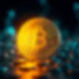 Exploring Unique Features of Pablo Token Conceptual representation of Pablo Token's unique features