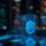 Conceptual representation of digital asset security