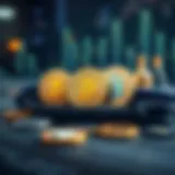 Diverse Types of Cryptocurrency Wallets Illustration of different cryptocurrency wallet types