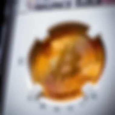 NGC Coin Grading Scale Close-up of NGC coin grading scale